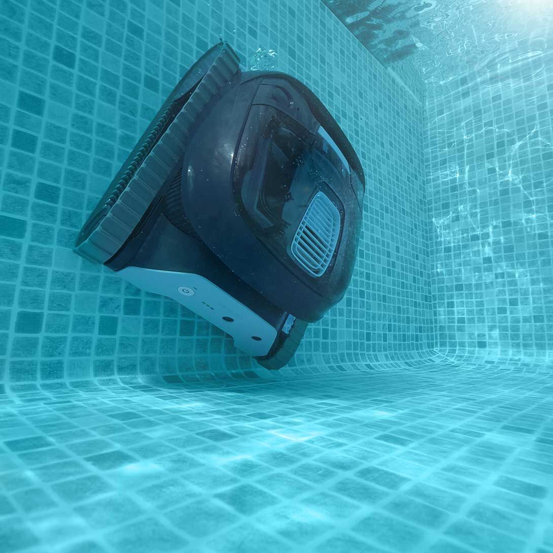 Dolphin LIBERTY 300