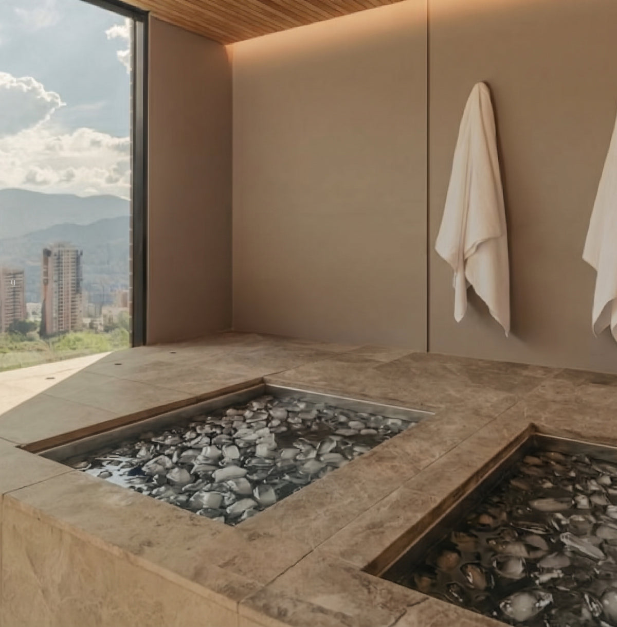 Cold Plunge by Artic Cold Labs,  Crioterapia todo en uno